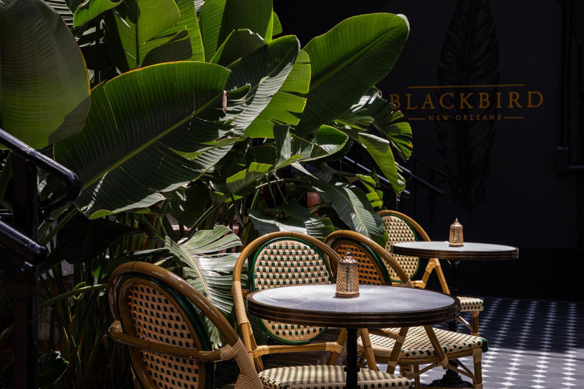 Blackbird Hotel New Orleans Eksteriør bilde